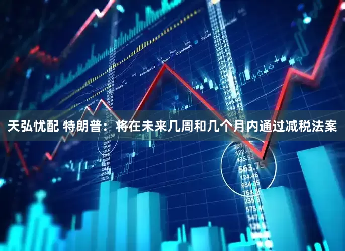 天弘忧配 特朗普：将在未来几周和几个月内通过减税法案