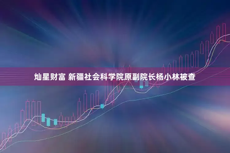 灿星财富 新疆社会科学院原副院长杨小林被查