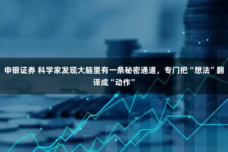 申银证券 科学家发现大脑里有一条秘密通道，专门把“想法”翻译成“动作”